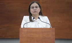 Proponen homologar reformas al Código Penal del Estado, en materia de sexual, con disposiciones federales
