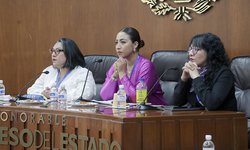 Plantean reforma al Código Penal para sancionar delitos sexuales contra niñas, niños y adolescentes