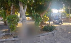 Encuentran cuerpo de joven mujer en Jardín de San Sebastián