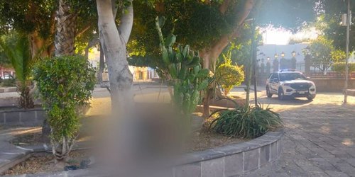 Encuentran cuerpo de joven mujer en Jardín de San Sebastián