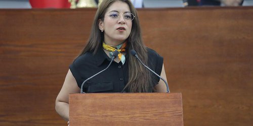 Proponen fortalecer la protección de bosques y recursos naturales en San Luis Potosí
