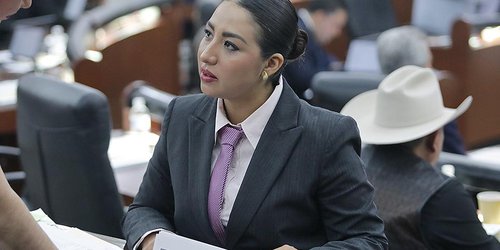 Proponen reforma al Código Familiar para garantizar responsabilidad alimentaria del padre biológico