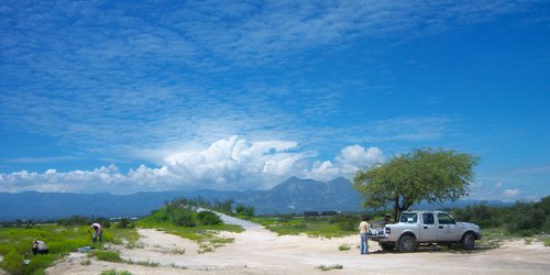 Estudia IPICYT factores que afectan la recarga del acuífero en el Valle de San Luis