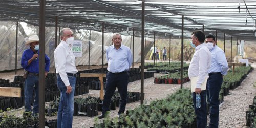 AMLO y Carreras supervisan "Sembrando Vida" en Moctezuma