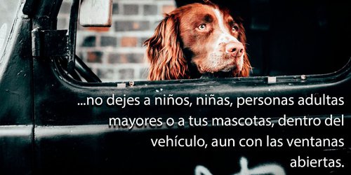 Emiten recomendaciones para evitar ”golpe de calor”