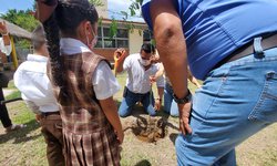 Alcalde siembra "parota" y conciencia en niños y niñas del Jabalí en Día del Árbol
