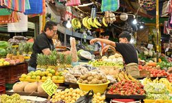 Se incrementa actividad comercial en SLP