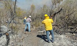 Comité de manejo del fuego llama a la población a evitar quemas