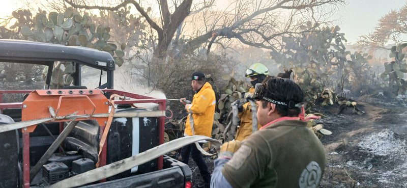 WhatsApp Image 2026-02-20 at 9.32.45 AM (1).jpeg