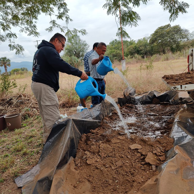 WhatsApp Image 2026-03-17 at 11.56.50 AM.jpeg