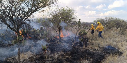Gobierno Estatal refuerza acciones ante temporada crítica de incendios