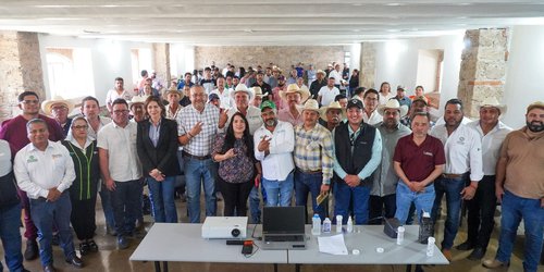 Refuerzan acciones contra el gusano barrenador en Lagunillas
