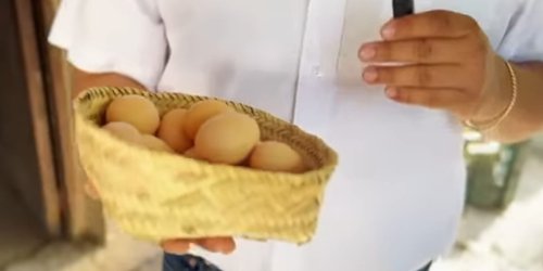 Programa de aves de traspatio da resultados en comunidades de Santa Catarina