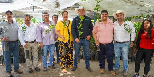 Entregan 900 árboles frutales en Cárdenas para fortalecer economía y medio ambiente