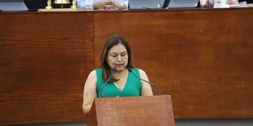 Propone diputada Lety Vázquez homologar a 45 días campañas electorales en SLP