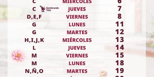 Del 4 al 27 de mayo se realiza pago de los Programas para el Bienestar, informa la secretaria Leticia Ramírez