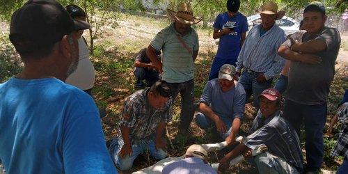 El Gobierno de Lagunillas capacita y apoya a ganaderos para prevenir propagación del gusano barrenador