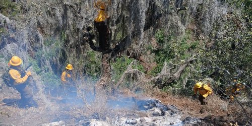 Controlan incendio forestal en Santa María del Río