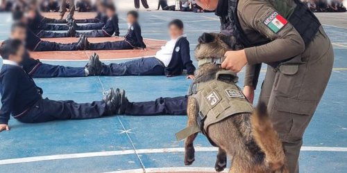 Lomitos de la Guardia Civil Estatal acercan valores y prevención a la niñez