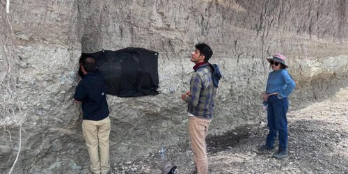 INAH iniciará investigación de restos de mamut hallados en Cerritos