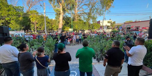 Ciudad Fernández supera los 35 mil árboles entregados para reforestar el municipio