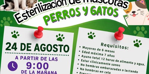 Lagunillas realizará campaña de esterilización gratuita para perros y gatos