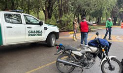 Parques Tangamanga priorizan seguridad de visitantes y anuncian reposición de árboles afectados por lluvias