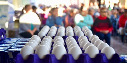 San Luis Potosí, quinto lugar nacional en producción de huevo; destaca Rioverde