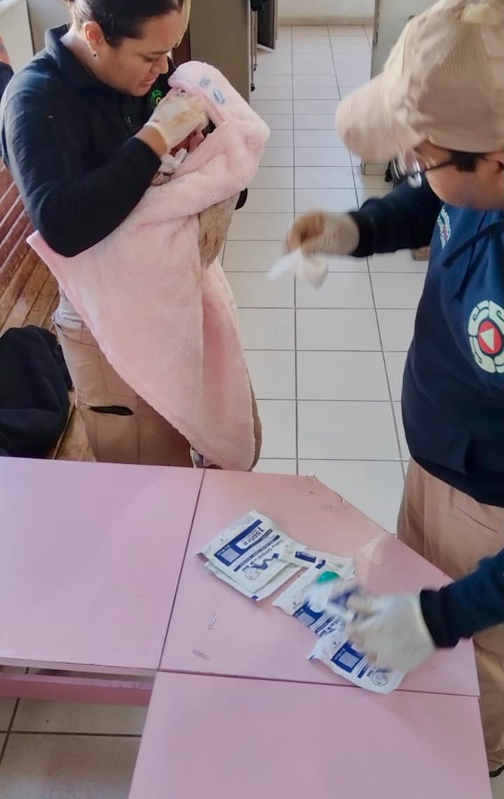 apoyo_de_p._civil_mirioverde.jpeg