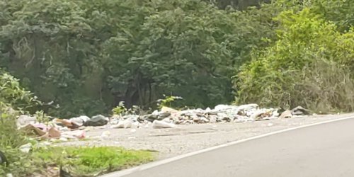 Persisten basureros clandestinos en la carretera libre Rayón–crucero de Tamasopo