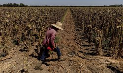 Autoridades estatales refuerzan prevención ante ola de calor extrema