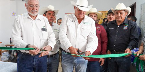 Comenzará liberación de 100 mil moscas estériles a la semana, para combatir gusano barrenador en SLP