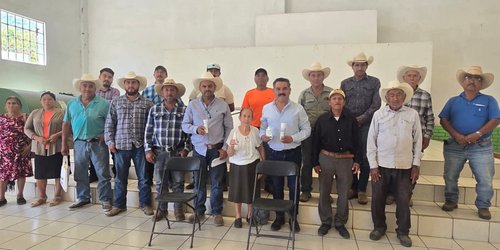 Santa Catarina refuerza acciones ante presencia del gusano barrenador