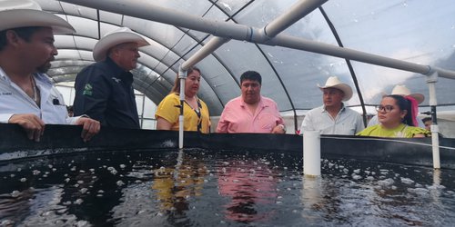 Cárdenas busca implementar proyecto de acuaponía en instituciones educativas