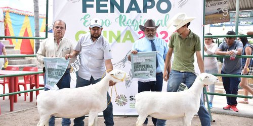 FENAPO 2026 será sede de la mejor Expo Agroalimentaria del país