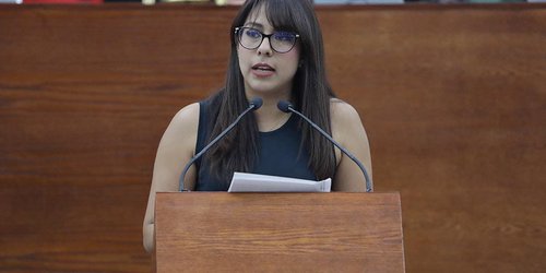 Realizaron 4a. sesión del seminario 8M: Mujeres cuidadoras, y reconocimiento a su trabajo"