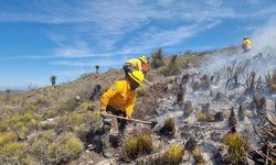 SLP fortalece estrategia contra incendios forestales