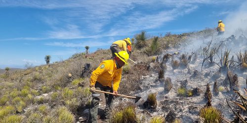 SLP fortalece estrategia contra incendios forestales