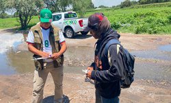 Gobierno Estatal despliega saneamiento en zonas afectadas por lluvias