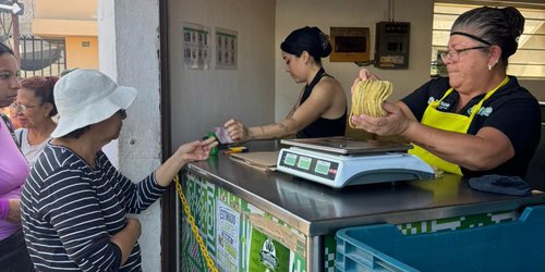 Gobierno estatal acerca tortilla subsidiada a más de 200 mil familias